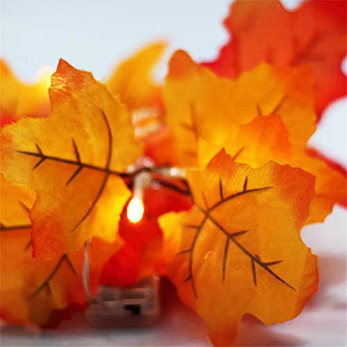 GIAGY Fall Decor,Fall Garland,Thanksgiving Decor,Christmas Decor Lighted Fall Wreath Halloween String Lights [ 14.7 Feet &40 Lights ] - Thumbnail 7