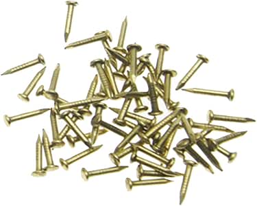RZDEAL 100 PCS Brass Round Head Nails - 0.08" X 0.6" For DIY Craft, Hinges, & Small Wood Projects