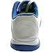 Nike Free 4.0 V4 Men's Running Shoes