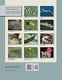 Image de Control de plagas para césped y jardines residenciales (Spanish Edition)