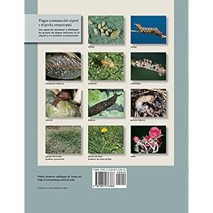 Control de plagas para césped y jardines residenciales (Spanish Edition)