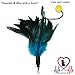 Pet Fit For Life 4 Piece Dual Rod Feather Teaser and Exerciser for Kitten and Cats - Cat Toy Interactive Cat Wand