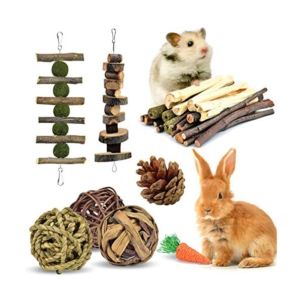 ERKOON-Rabbit-Toys-Hamster-Small-Animals-Treats-Bunny-Chinchilla-Chew-Toy-for-Teeth-Natural-Apple-Wood-Sticks-Boredom-Breaker-for-Guinea-Pigs-Chinchillas-Gerbils-Molar ERKOON Rabbit Toys, Hamster Small Animals Treats Bunny Chinchilla Chew Toy for Teeth Natural Apple Wood Sticks Boredom…