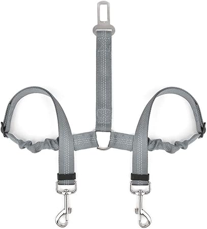 dog leash with two hooks