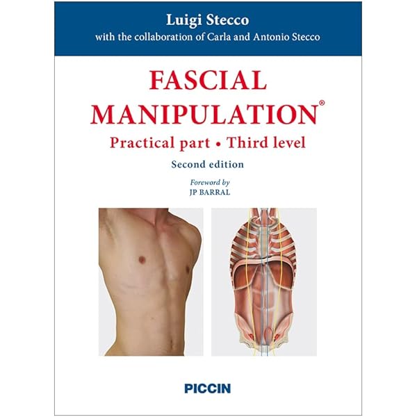 FASCIAL MANIPULATION® Fourth level fascial-manipulation-level-4-