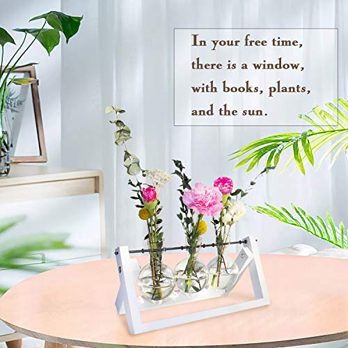 Glass Terrarium Planter, Desktop Glass Planter Bulb Vase with Retro