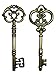 Salome Idea 20PCS Assorted Large Vintage Skeleton Keys (2 Styles) - 3 1/4