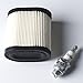 Podoy 36905 Air Filter, RJ19LM Spark Plug Kit for Compatible with Toro Recycler LEV100 LEV115 LEV120 OVRM105 OVRM65 TVS115 TVS120 5.5 HP Sears Mowers and Craftsman RV115 Lawn Mower