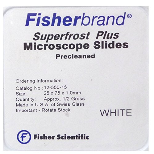 Fisherbrand Superfrost Plus Microscope Slides - Approximately 1/2 Gross (72)