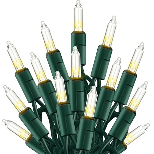 TW SHINE Warm White String Lights