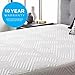 LUCID 12 Inch Hybrid Memory Foam Infused with Bamboo Charcoal and Aloe Vera-Encased Spring Support-Medium Plush Feel-Motion Isolation Mattress, California King, White