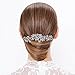 BriLove Women's Bohemian Boho Crystal Cluster Flower Vine Leaf Wedding Bride Bling Hair Comb