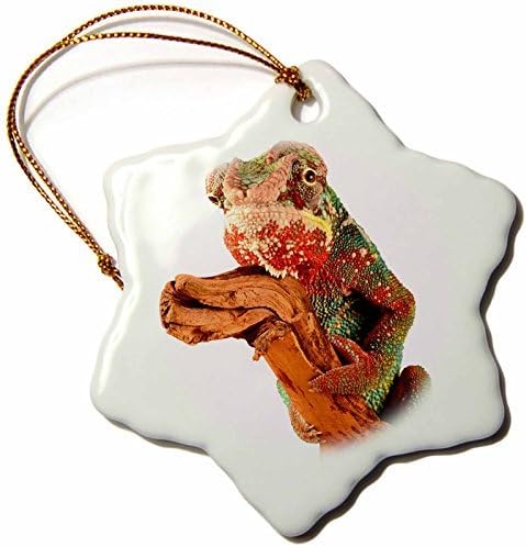 Christmas Ornament Sven Herkenrath Animal - Portrait of Lizard Reptile Leguan Exotic Animal - Snowflake Porcelain Ornament