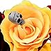 DreamLily Day of The Dead Headband Costume Rose Flower Crown Mexican Headpiece BC40
