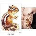 Glaryyears Animal Temporary Tattoos for Adults, Large Watercolor Painting Drawing Fake Creative Tattoo Stickers, 5 Pack Fox Cat Water Transfer Body Makeup Art Home Decoration Multi-colored