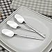 Lesbin Stainless Steel Flatware Dessert Spoon/Teapoon, Set of 12