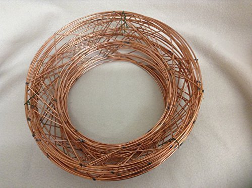 floral supplies Raised wire wreath round rings holly mossing Christmas frame - (5 Pack, 10 Inch)