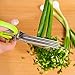 Vegetable's Chef - Culinary Herb Scissors - 5 Blades Stainless Steel Shears with Cover and Cleaning Comb