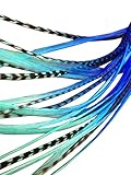 Feather Hair Extensions, 100% Real Rooster Feathers, 20 Long Thin Loose Individual Feathers, By Feather Lily