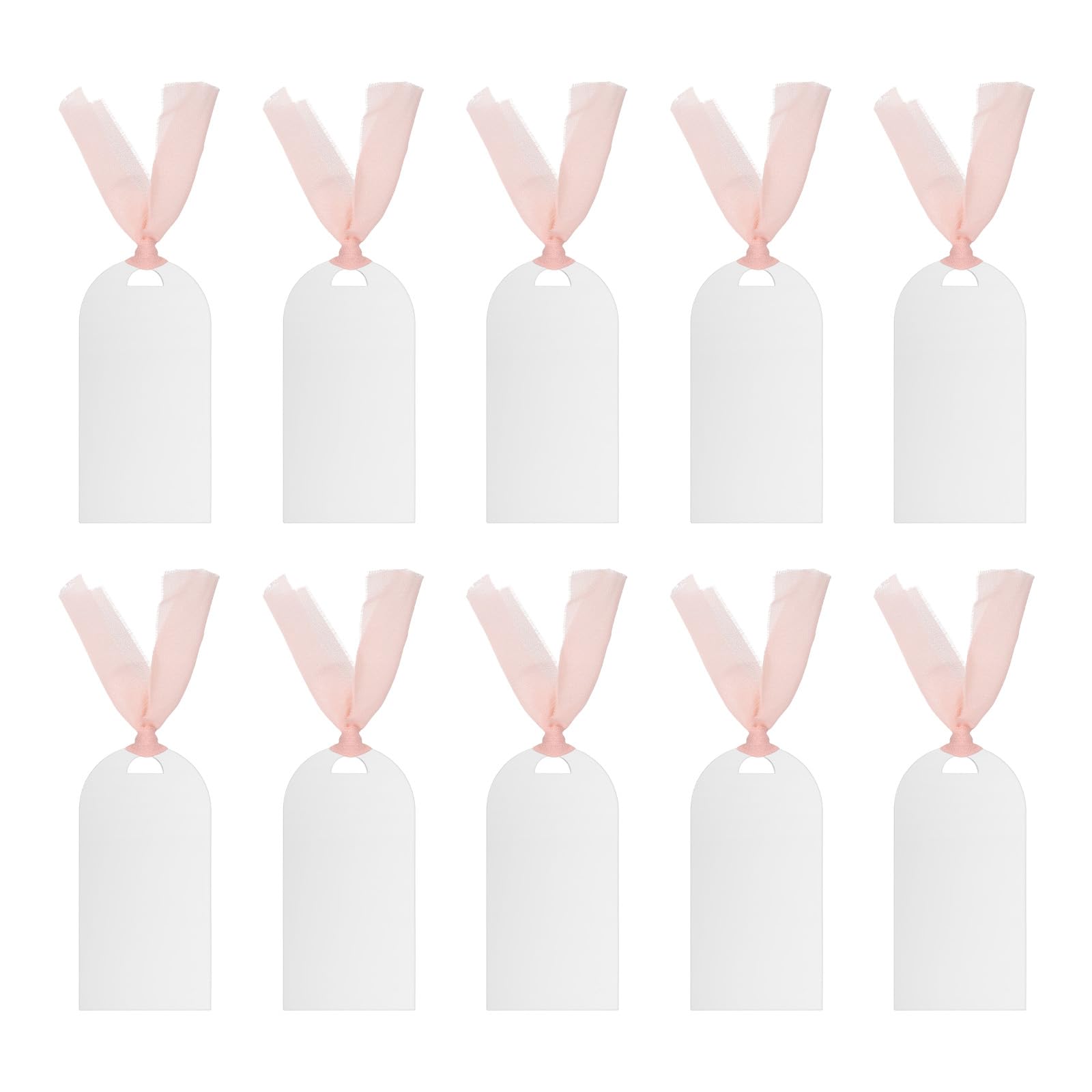 PATIKIL Place Cards for Table Setting 3.5" x 1.8", 10 Pcs Acrylic Name Cards with Ribbon for Wedding Banquets Events Table Setting Reserved Signs Party Supplies, Style B Frosted