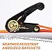 RoofPax Ratchet Straps (4-Pack), Heavy Duty Tie Downs Kit 1,823 Lbs Break Strength 1