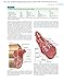 DeLee & Drez's Orthopaedic Sports Medicine: 2-Volume Set (DeLee, DeLee and Drez's Orthopaedic Sports Medicine)