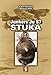 Junkers Ju 87 Stuka (Big Yellow Series)