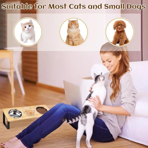 Last page® Elevated Cat Food Bowl, 15°Tilted Cat Bowl Stand with 3 Stainless Steel Raised Cat Bowls for Food and Water, Anti Vomit Feeding Station for Indoor Cats and Pet