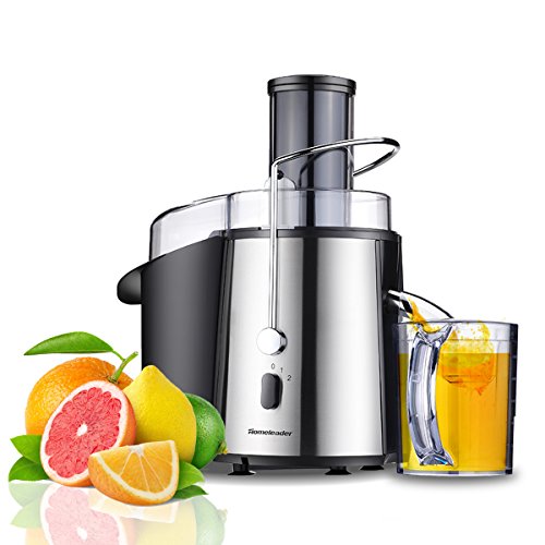 Homeleader Juicer Juice Extractor Wide Mouth Centrifugal Juicer,2 Speed Juicer Machine for Fruits and Vegetable,Stainless Steel,700 Watt