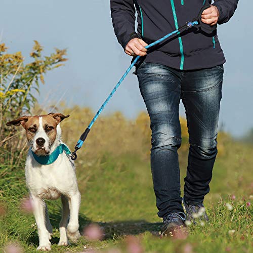YIHATA Dog Leash Dog Leashes 6 FT Dog Training Walking Leashes with Ergonomic Soft Rubber Handle and Highly Reflective Threads, Chew Proof, Ideal for Large Medium Small Dogs (Blue) - Thumbnail 6