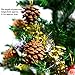 Winter Woods Cinnamon Scented Pinecones 12-14/Pkg, Large