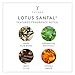 Thymes - Lotus Santal Hand Lotion with Pump - With Moisturizing Shea Butter, Vitamin E and Sandalwood Scent - 8.25 oz