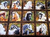 Sixty 3 1/2 inch Pictures, Horses, Wild and Free, Northcott, Laurie Snow Hein, 24 inch Panel