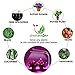 Indoor Plants LED Grow Lights – 20w Indoor Plant Light with 40 LED Bulbs, Worry-Free Timer, 3 Light Modes and 8 Brightness Levels for Optimal Plant Growth. Free USB Adaptor Included