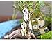 SUN-E 4 Pcs/lot Princess Mononoke Luminous Tree Elves Spirit Kodama Gardening Potted Decoration Micro Landscape Accessories