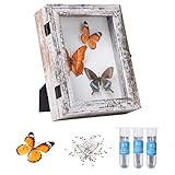 IHEIPYE Insect Display Case Wall Mount Bug Display