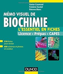 Mémo visuel de biochimie