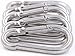 Spring Snap Carabiner Hook - 304 Stainless Steel Quick Link Keychain Clips 5 Small Loaded D-Ring Carabiners Keyring Hooks for Boat Marine, Camping, Traveling, Hiking, Fishing & Dog Leash (M5, 5PCS)