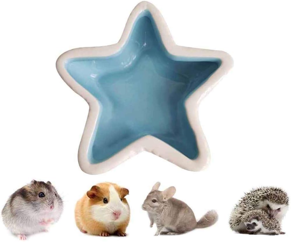 rodent proof dog feeder