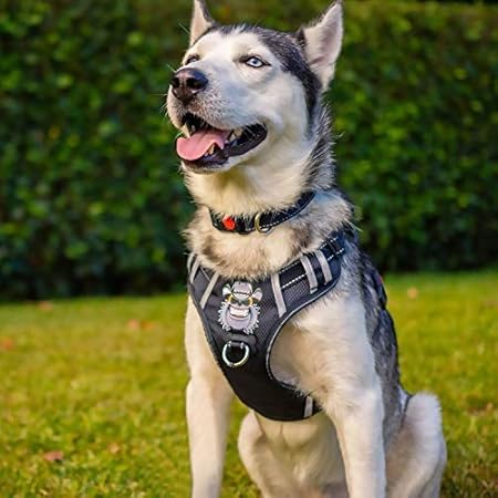 babyltrl dog harness