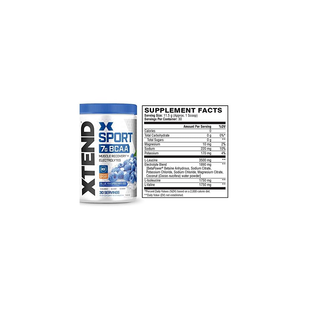XTEND Sport BCAA Powder Blue Raspberry Ice Electrolyte Powder for