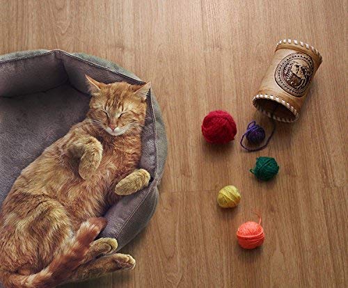 Birch Bark Canister with a Wooden Spoon and Lid for Vintage, Rustic or Farmhouse Look | Kitchen Storage Container for Serving Tea, Sugar, Salt, Herbs and More. 100% Eco-friendly