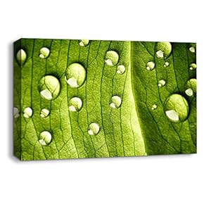 Canvas Wall Art Leaf Veins Pictures Home Wall Decorations for Bedroom Living Room Paintings Canvas Prints Framed - 12x18 inches