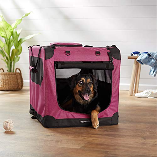 Amazon Basics Folding Portable Soft Pet Dog Crate Carrier Kennel, 30 x
