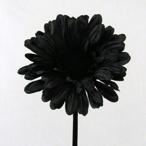 6 x Artificial Single Stem Black Gerbera with Big Bloom - very dramatic - home garden