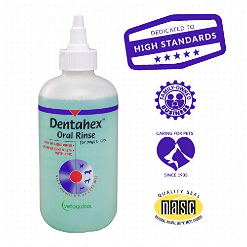 Dentahex Oral Rinse by Vet Solutions (8 oz) Pets Trend Store
