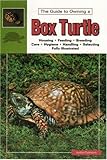 The Guide To Owning A Box Turtle by