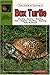 The Guide To Owning A Box Turtle by