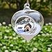 Pack of 3 Glass Hanging Planter Hanging Air Plant Terrarium Decorative Hanging Plant Pots Flower Pots Plant Containers Air Plant Pots Hanging Air Fern Plant Container Fern Plant Pot Fern Terrarium