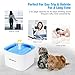 isYoung Pet Water Fountain, 2.5L Super Quiet Automatic Electric Water Dispenser, Healthy and Hygienic Cat Drinking Fountain with 2 Replacement Filters for Dogs, Cat and Small Animals (Blue 2.5L)thumb 4